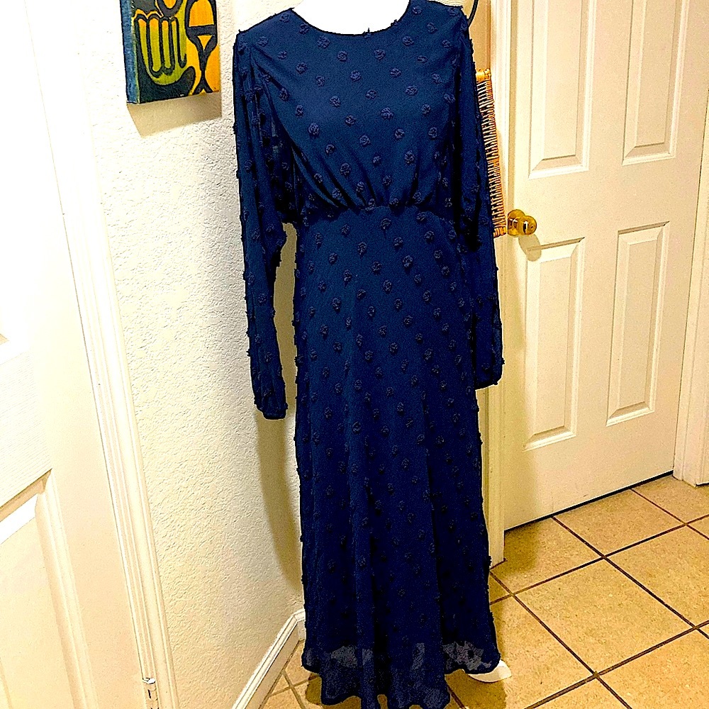 Anthropologie Eri + Ali maxi dress